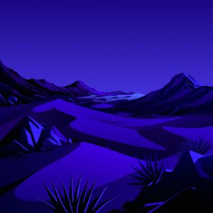 Wallpaper